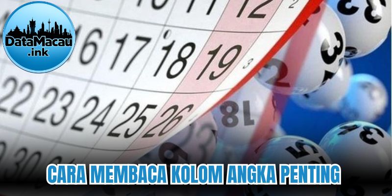 Cara membaca kolom angka penting 