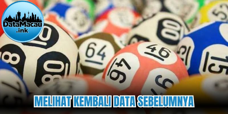 Mengenal fitur melihat kembali data sebelumnya 